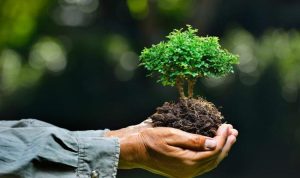 2024-01-29-065850.644585lingkungan-hidup